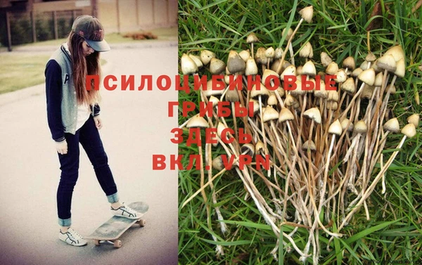 таблы Алзамай